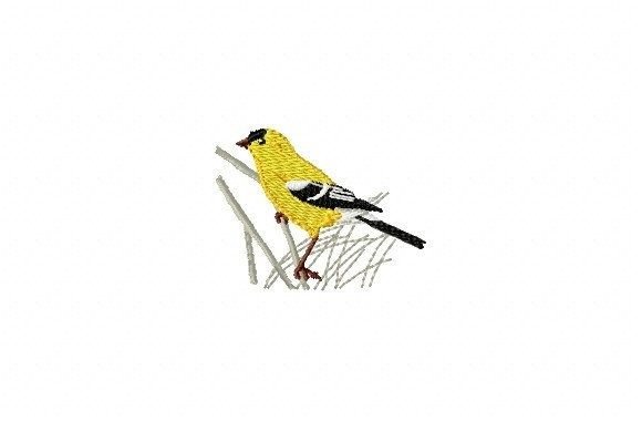 Bird on a Branch Embroidery Review