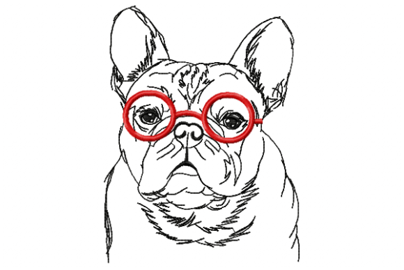 Bulldog with Glasses: A Designer's Real-World Review