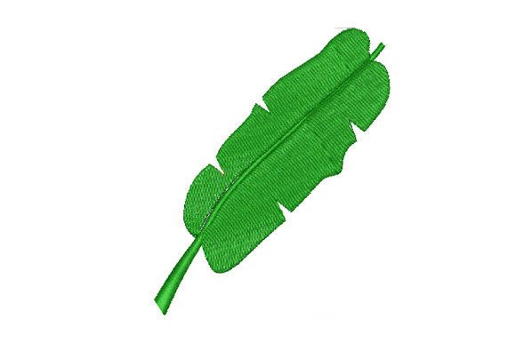 Green Banana Leaf Review for Boutique Apparel